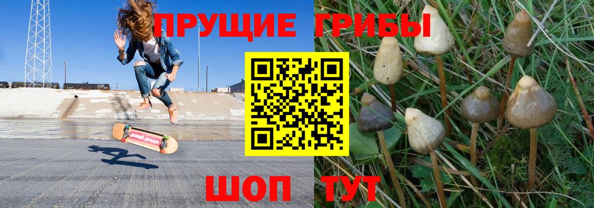 Галлюциногенные грибы MAGIC MUSHROOMS  Галлюциногенные грибы Magic Shrooms  Павловский Посад  Вход с VPN 